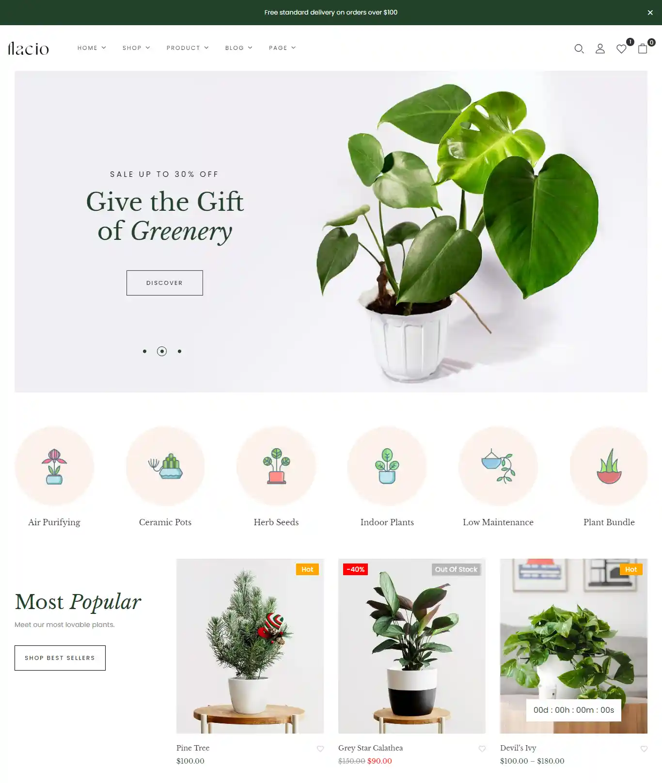 Flacio Flat – Giao diện website cây cảnh đẹp hình đại diện