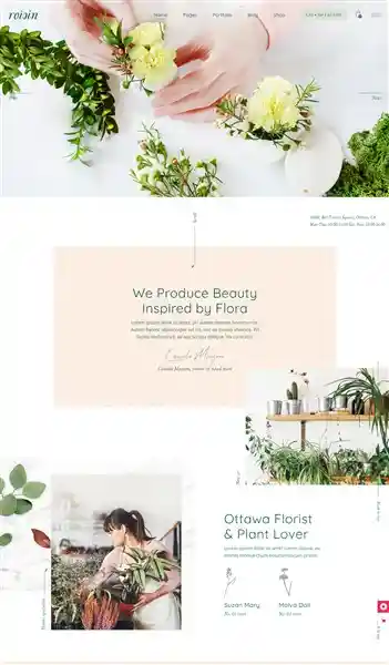 Roisin Orchid - Giao Diện Web Hoa Tươi & Cây Cảnh